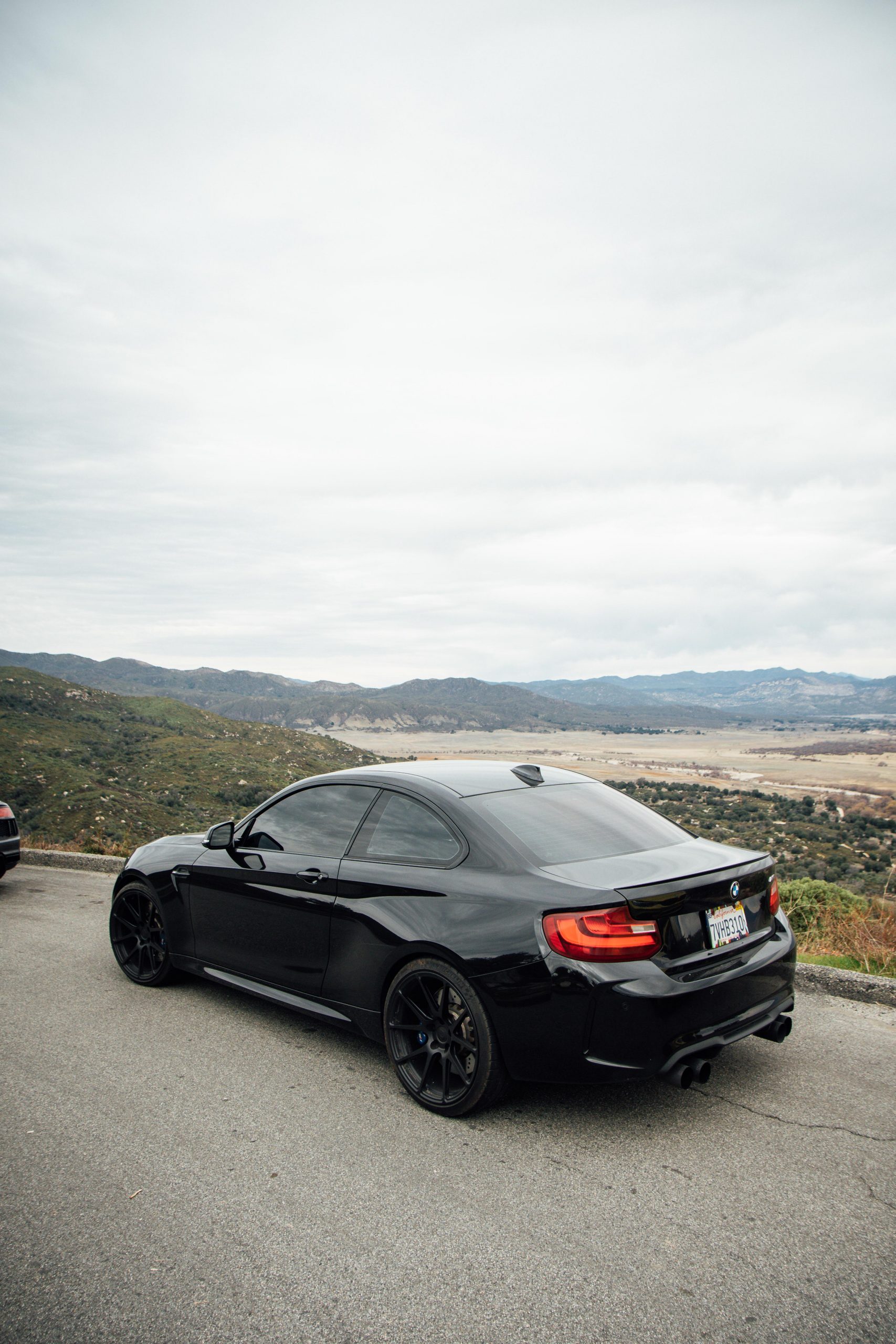 M2 Blacked Out BMW